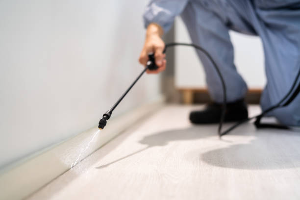 Licensed Termite Control service in Arlington, NE - Nex Pest Control