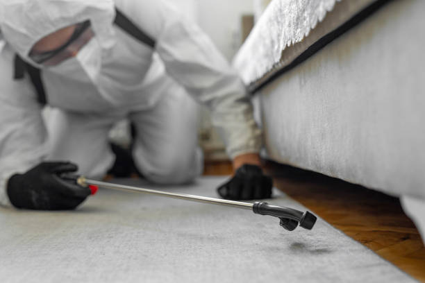 Professional Termite Control technician working in Arlington, NE
