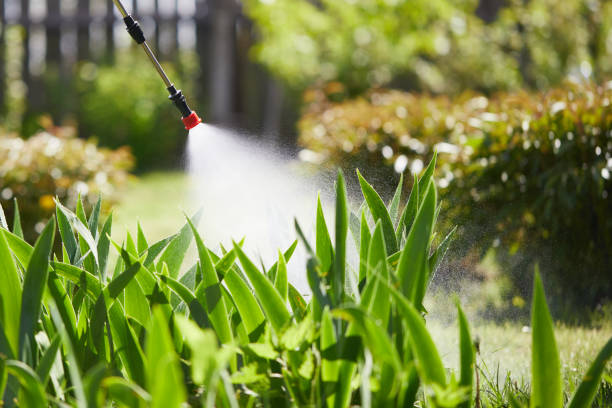 24/7 Emergency Termite Control experts in Arlington, NE