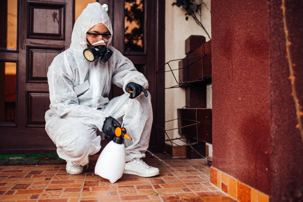 Reliable Termite Control contractor in Arlington, NE by Nex Pest Control